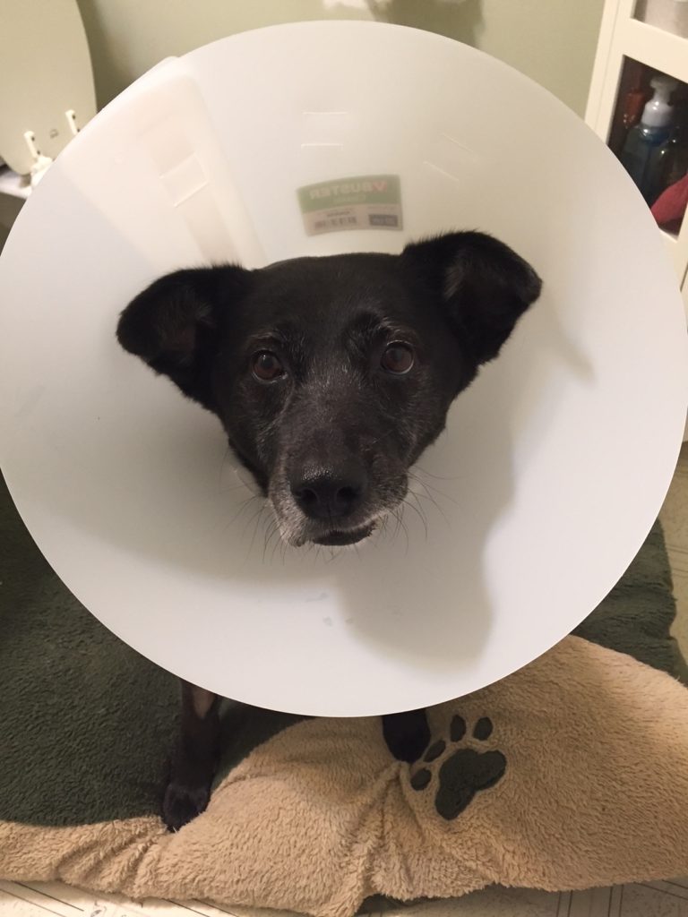 No fear of cone